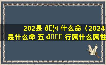 202是 🦢 什么命（2024是什么命 五 🐎 行属什么属性）